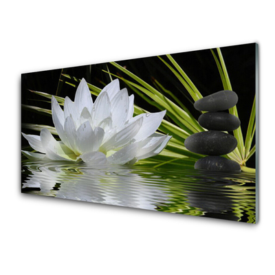 Wandbilder aus Plexiglas® 100x50 Acrylglasbild Blume Pflanzen 