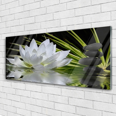 Tulup Acrylglasbilder Wandbild Dekobild 100x50 Blumen Steine Pflanzen 