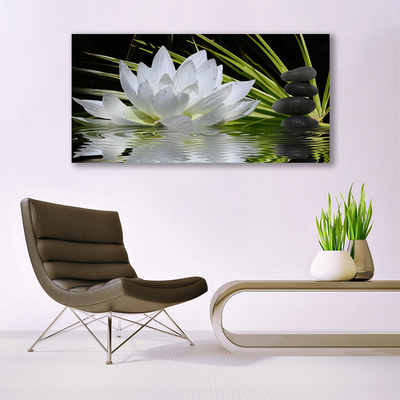 Acrylglasbilder Wandbilder aus Plexiglas® 125x50 Blume Pflanzen 