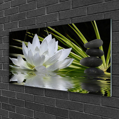 Glasbild aus Plexiglas® Blume Steine Wasser Pflanzen