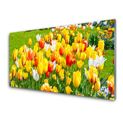 Glasbild aus Plexiglas® Tulpen Pflanzen