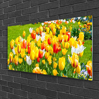 Glasbild aus Plexiglas® Tulpen Pflanzen