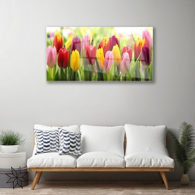 Glasbild aus Plexiglas® Tulpen Pflanzen