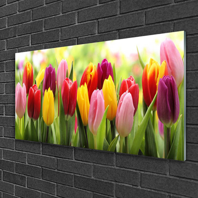 Glasbild aus Plexiglas® Tulpen Pflanzen