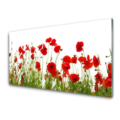 Glasbild aus Plexiglas® Mohnblumen Pflanzen