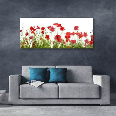 Glasbild aus Plexiglas® Mohnblumen Pflanzen