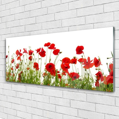 Glasbild aus Plexiglas® Mohnblumen Pflanzen