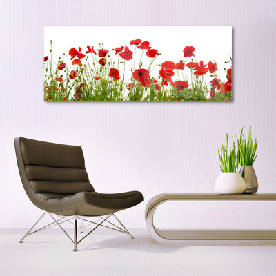 Glasbild aus Plexiglas® Mohnblumen Pflanzen