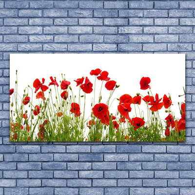 Glasbild aus Plexiglas® Mohnblumen Pflanzen