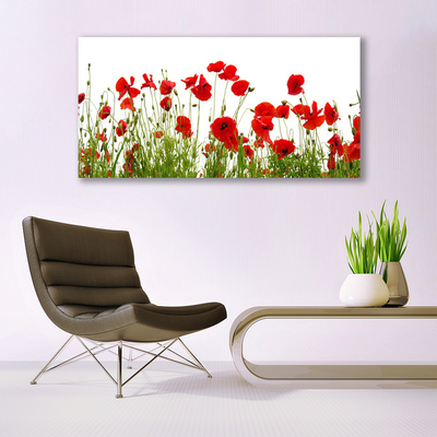 Glasbild aus Plexiglas® Mohnblumen Pflanzen