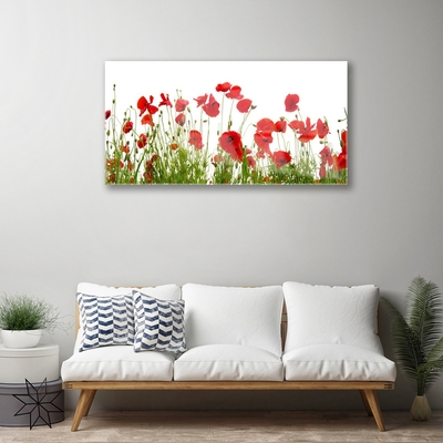 Glasbild aus Plexiglas® Mohnblumen Pflanzen