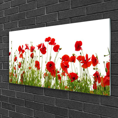 Glasbild aus Plexiglas® Mohnblumen Pflanzen