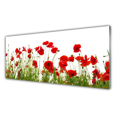 Glasbild aus Plexiglas® Mohnblumen Pflanzen