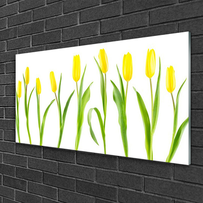 Glasbild aus Plexiglas® Tulpen Pflanzen