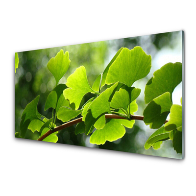 Glasbild aus Plexiglas® Zweig Blätter Pflanzen