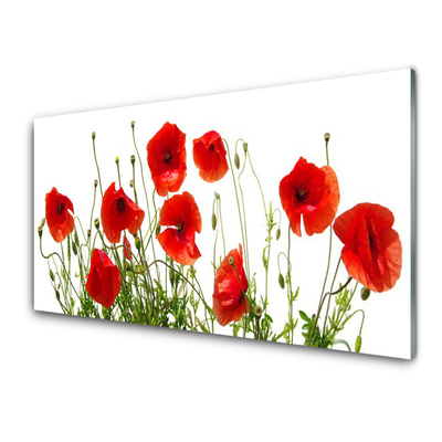 Glasbild aus Plexiglas® Mohnblumen Pflanzen