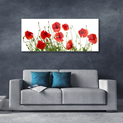 Glasbild aus Plexiglas® Mohnblumen Pflanzen