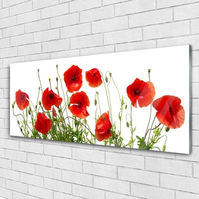 Glasbild aus Plexiglas® Mohnblumen Pflanzen