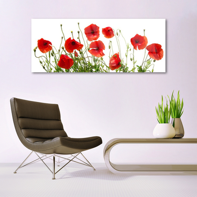 Glasbild aus Plexiglas® Mohnblumen Pflanzen