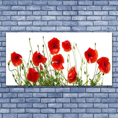 Glasbild aus Plexiglas® Mohnblumen Pflanzen