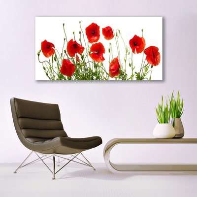 Glasbild aus Plexiglas® Mohnblumen Pflanzen