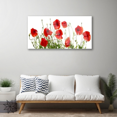 Glasbild aus Plexiglas® Mohnblumen Pflanzen