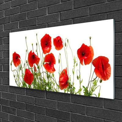 Glasbild aus Plexiglas® Mohnblumen Pflanzen