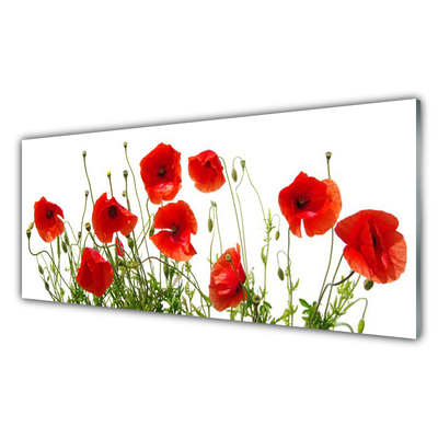 Glasbild aus Plexiglas® Mohnblumen Pflanzen