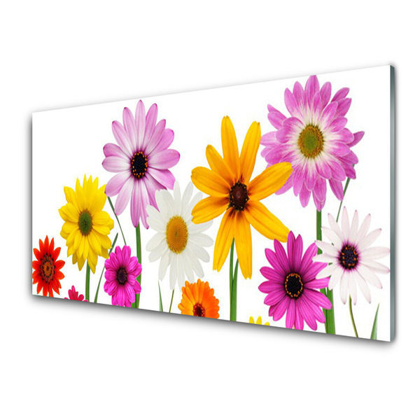 Glasbild aus Plexiglas® Blumen Pflanzen