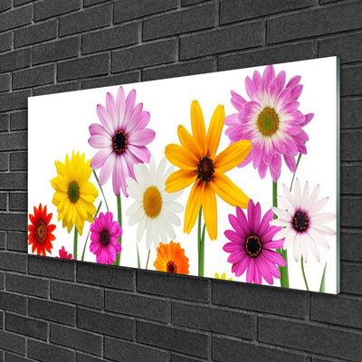 Glasbild aus Plexiglas® Blumen Pflanzen