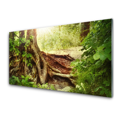 Glasbild aus Plexiglas® Baumstamm Natur
