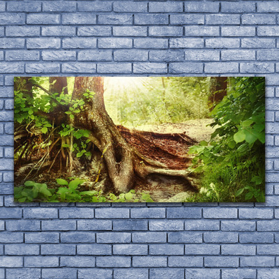 Glasbild aus Plexiglas® Baumstamm Natur