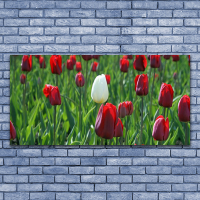 Glasbild aus Plexiglas® Tulpen Pflanzen