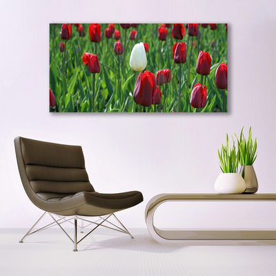 Glasbild aus Plexiglas® Tulpen Pflanzen