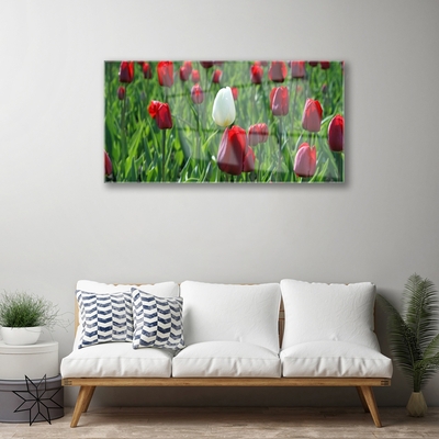 Glasbild aus Plexiglas® Tulpen Pflanzen