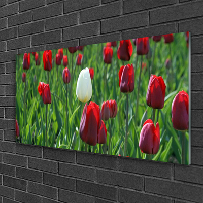 Glasbild aus Plexiglas® Tulpen Pflanzen