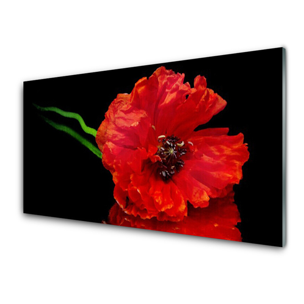 Glasbild aus Plexiglas® Blume Pflanzen