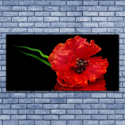 Glasbild aus Plexiglas® Blume Pflanzen