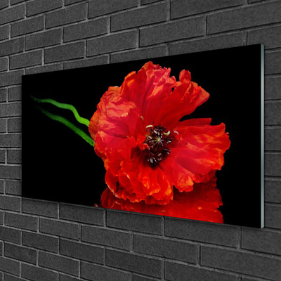 Glasbild aus Plexiglas® Blume Pflanzen