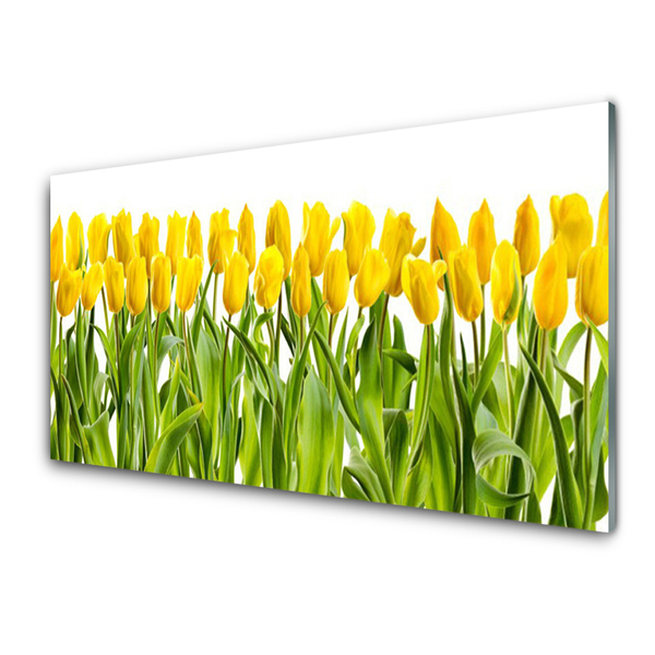 Glasbild aus Plexiglas® Tulpen Pflanzen