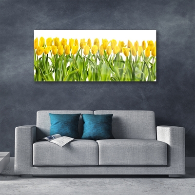 Glasbild aus Plexiglas® Tulpen Pflanzen