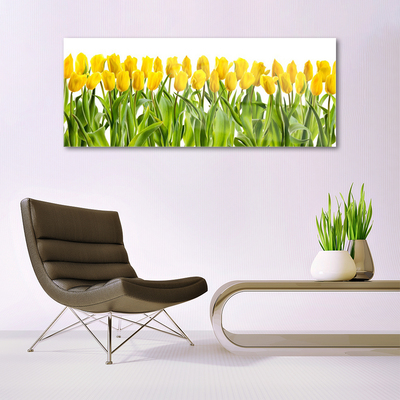 Glasbild aus Plexiglas® Tulpen Pflanzen