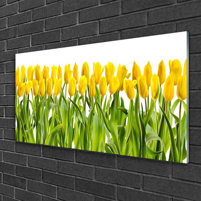 Glasbild aus Plexiglas® Tulpen Pflanzen