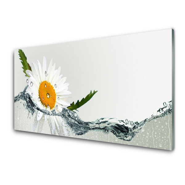 Glasbild aus Plexiglas® Gänseblümchen Wasser Kunst