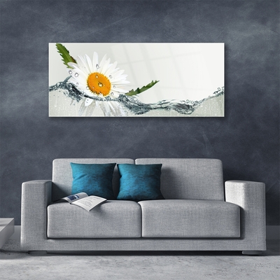 Glasbild aus Plexiglas® Gänseblümchen Wasser Kunst