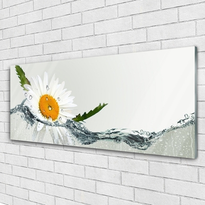 Glasbild aus Plexiglas® Gänseblümchen Wasser Kunst