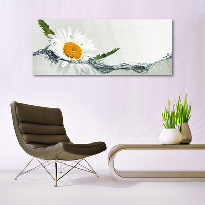 Glasbild aus Plexiglas® Gänseblümchen Wasser Kunst