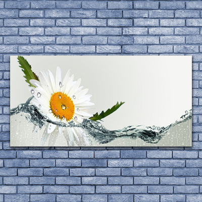 Glasbild aus Plexiglas® Gänseblümchen Wasser Kunst