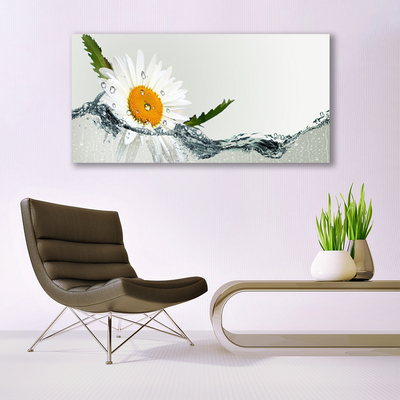 Acrylglasbilder Wandbilder aus Plexiglas® 125x50 Gänseblümchen Wasser Kunst 