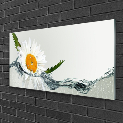 Glasbild aus Plexiglas® Gänseblümchen Wasser Kunst